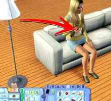 Hoe om `n kind van `n sekere geslag in die Sims 3 te hê
