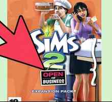 Hoe om suksesvol te wees in The Sims 2 Open Business