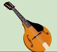 Hoe om die mandolien te speel