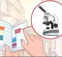 Hoe om `n saamgestelde mikroskoop te gebruik