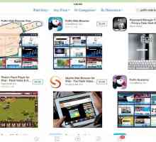 Hoe om flitsgebaseerde webblaaie op jou iPad te besigtig