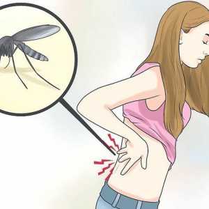 Hoe om spierpyn van chikungunya te verlig