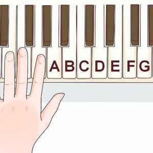 Hoe om te leer om klavierliedjies per ore te speel