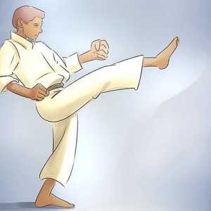 Hoe Taekwondo leer