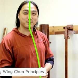 Hoe om Wing Chun te leer