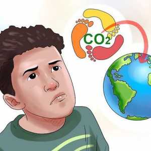 Hoe om aardverwarming (kinders) te help verminder