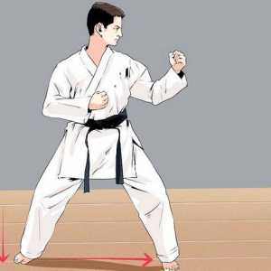 Hoe om stampe in karate te blokkeer