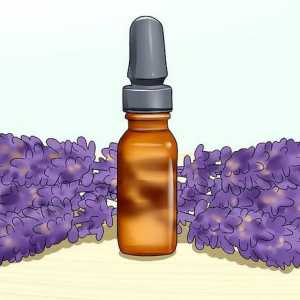 Hoe om jou kat te kalmeer met aromaterapie
