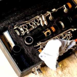 Hoe om jou eerste klarinet te koop