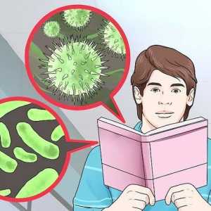 Hoe om die verskil tussen bakterieë en virusse te ken