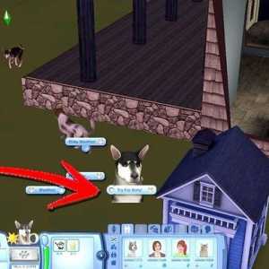 Hoe om jou troeteldiere in die Sims 3 in te samel Wat `n wildlewe! (PC)