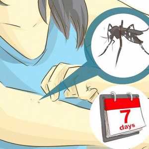 Hoe om te sorg vir pasiënte met dengue