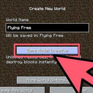 Hoe om te stop vlieg in Minecraft