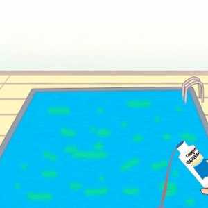 Hoe om vas te stel watter algaecide en clarifier die beste vir jou swembad is
