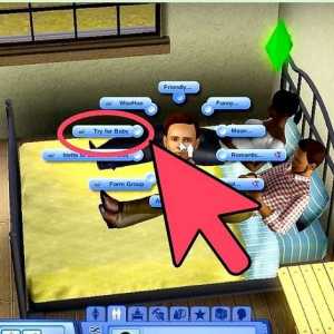 Hoe om die geslag van jou baba in die Sims 3 te bepaal