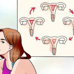 Hoe om die eerste dag van jou menstruele siklus te bepaal