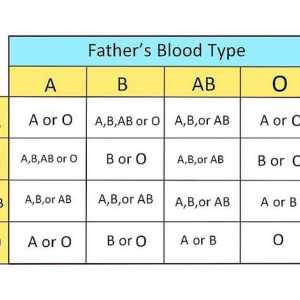 Hoe om jou bloedgroep te bepaal
