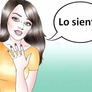 Hoe om verskoning te vra in Spaans