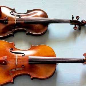 Hoe om tussen viool en viool te onderskei