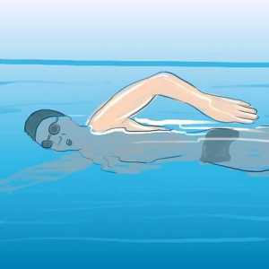 Hoe om drie verskillende swemstroke uit te voer