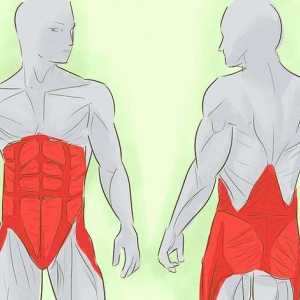 Hoe om die transversale maag uit te oefen