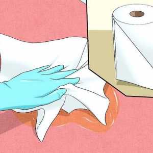 Hoe om die reuk van kat urine uit te skakel