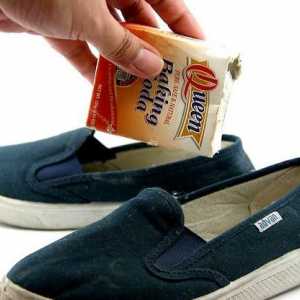 Hoe om in slegte reuk op jou skoene met koeksoda uit te skakel