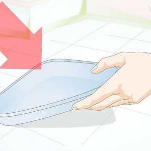 Hoe om `n hamster te leer om na die badkamer te gaan