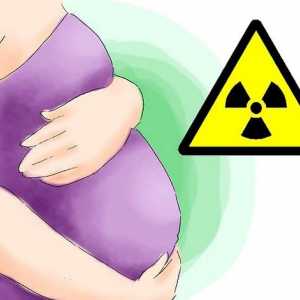 Hoe om omgewingstoksiene tydens swangerskap te vermy