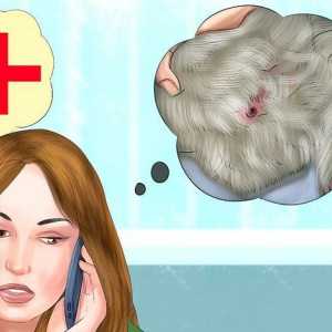 Hoe om te verhoed dat jou kat in jou bed urineer