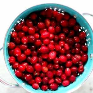 Hoe om vars cranberry sap te maak