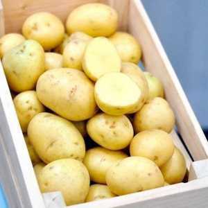 Hoe om pietersielie aartappels te maak