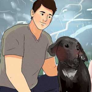 Hoe maak jou hond ophou om bang te wees vir storms