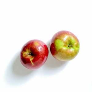 Hoe om seëls met appels te maak