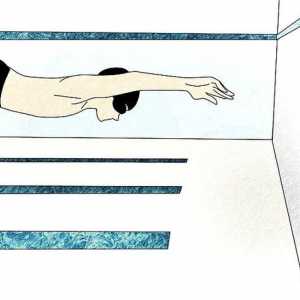 Hoe om `n skoenlapper of borsstyl te laat swem