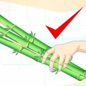 Hoe om bamboeswindklokke te maak