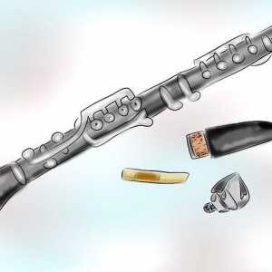 Hoe om die mondstuk van jou klarinet skoon te maak