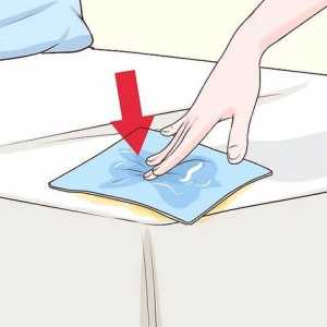 Hoe om kat urine uit `n matras skoon te maak