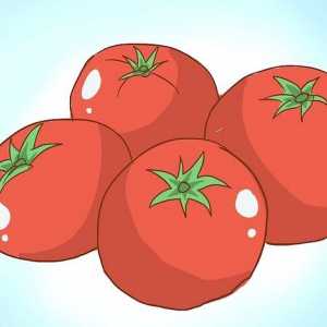 Hoe om deel te neem aan die Tomatina