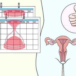 Hoe om jou liggaam voor te berei vir `n swangerskap na `n miskraam