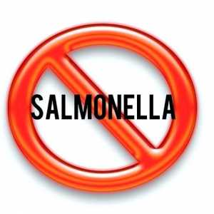 Hoe salmonellavergiftiging (salmonellose) voorkom