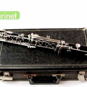 Hoe om die klarinet te speel