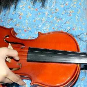 Hoe om die viool as `n beginner te speel