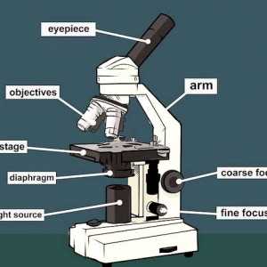 Hoe om `n mikroskoop te gebruik